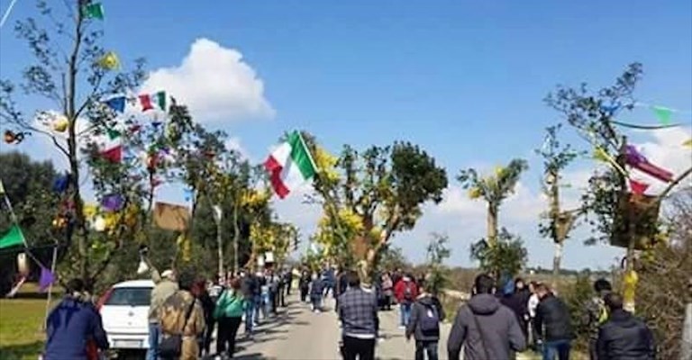 La processione degli alberi
