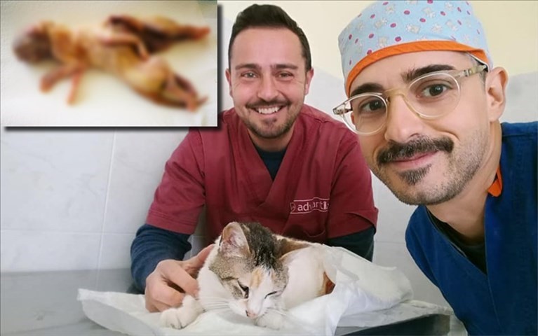 I due veterinari Carrozzo e Valentini