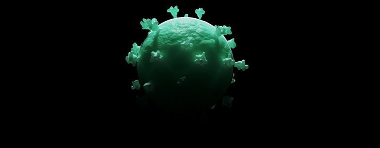 Coronavirus Coronavirus