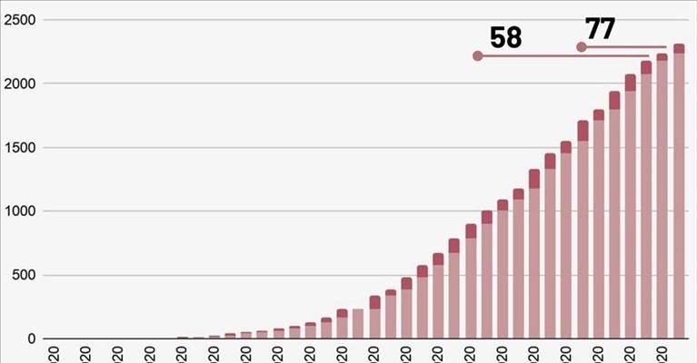 Grafico