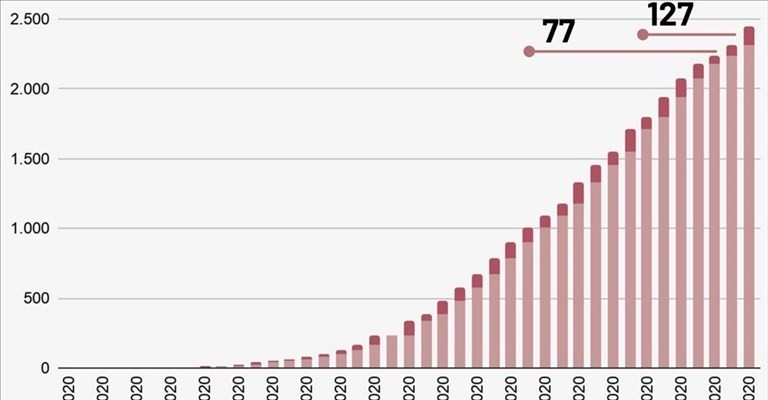 Grafico