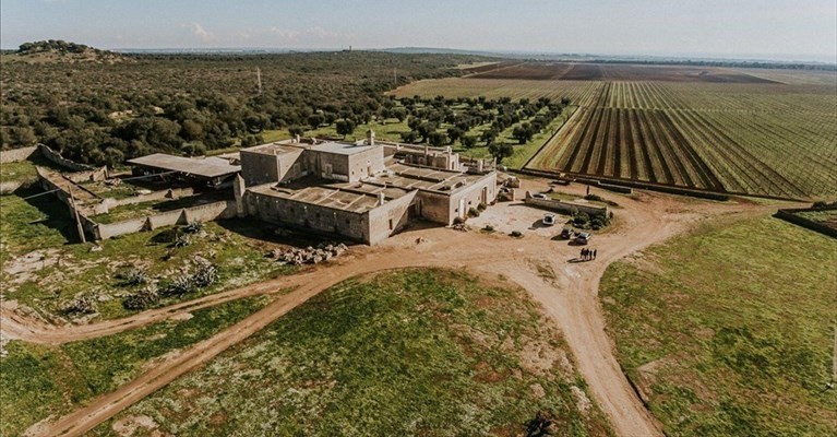?La masseria Cuturi ?La masseria Cuturi