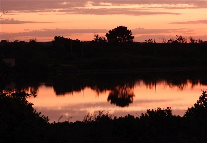 Il risveglio dei fenicotteri rosa alla Salina