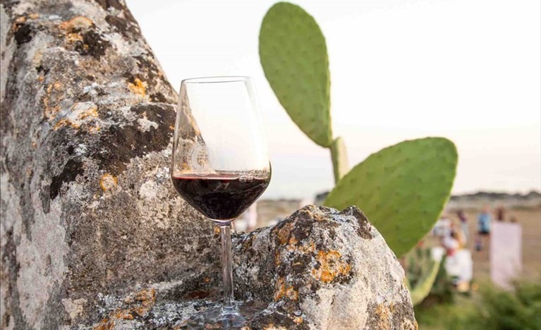 Primitivo