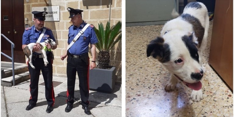 I carabinieri con il cucciolo