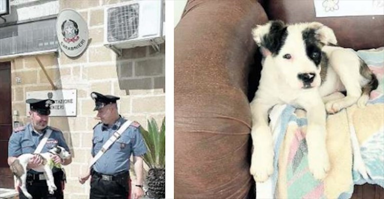 I carabinieri con il cucciolo I carabinieri con il cucciolo