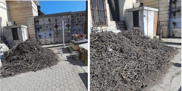Rifiuti nel cimitero Rifiuti nel cimitero