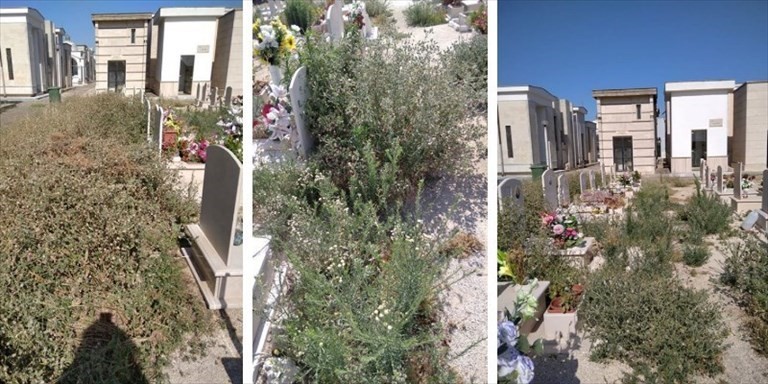 Cimitero di Manduria Cimitero di Manduria
