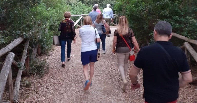 Passeggiata nel bosco Passeggiata nel bosco