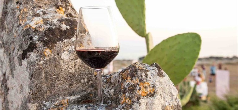 Primitivo Primitivo