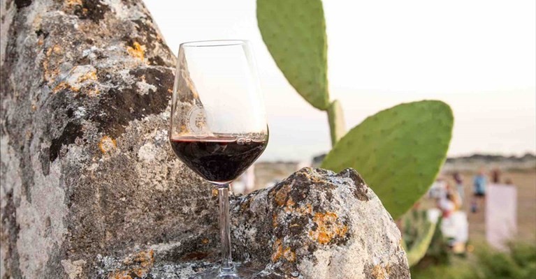 Primitivo Primitivo