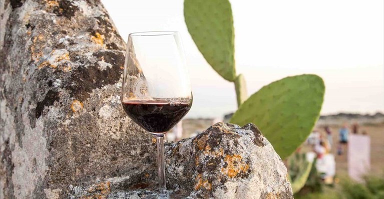 Primitivo Primitivo