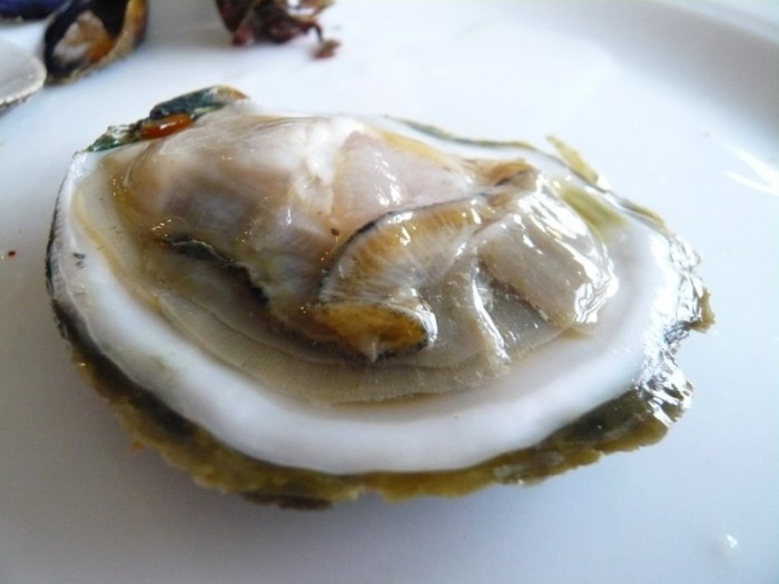 Diossina in eccesso nelle cozze pelose e ostriche tarantine