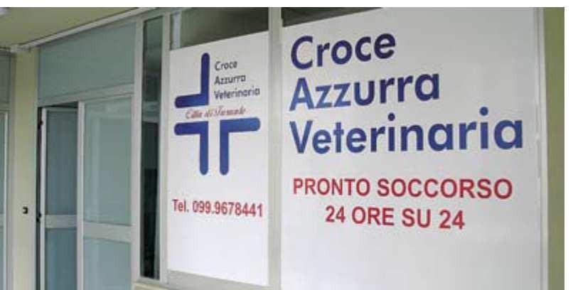 Apre a Taranto l'ospedale con pronto soccorso per animali