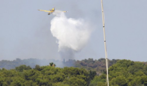 Maruggio, a fuoco venti ettari di bosco