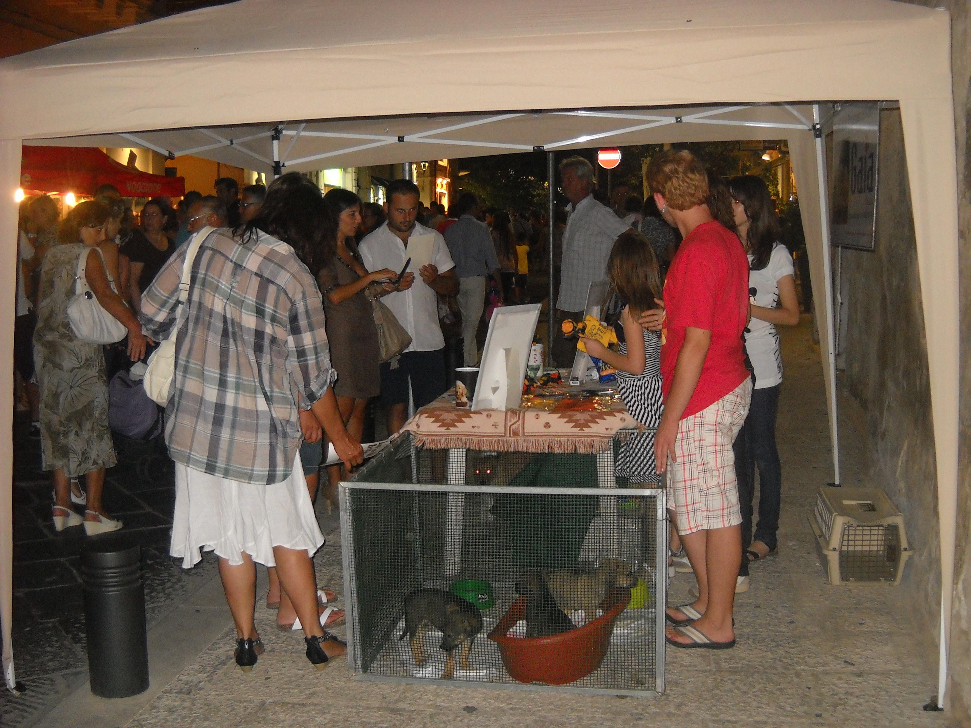 E Notte bianca fu: cronaca e bilancio di un evento