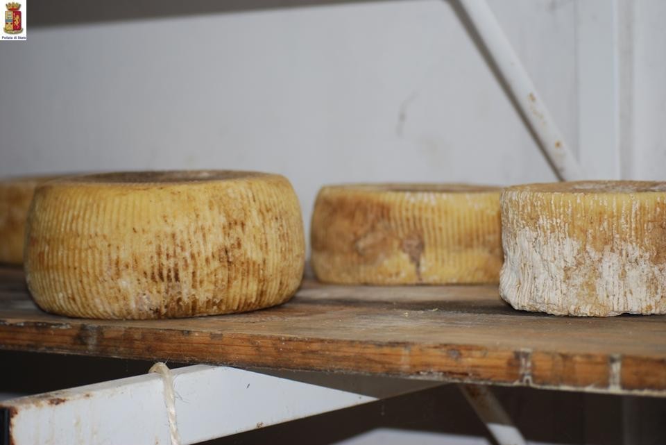 Formaggi e acqua nella sporcizia, sequestrato caseificio