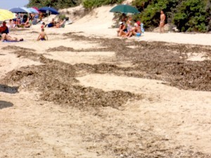 Spiagge sporche: "La Provincia non ci paga"