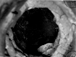 Il ritrovamento di Sarah in 71 foto: la sequenza dell'orrore