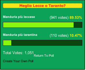Sondaggio: vittoria dei pro-Lecce | I risultati consegnati al commissario