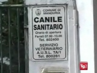 Nuovo gestore per il canile comunale
