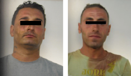 Da Manduria a Nard� per rubare bestiame, arrestati