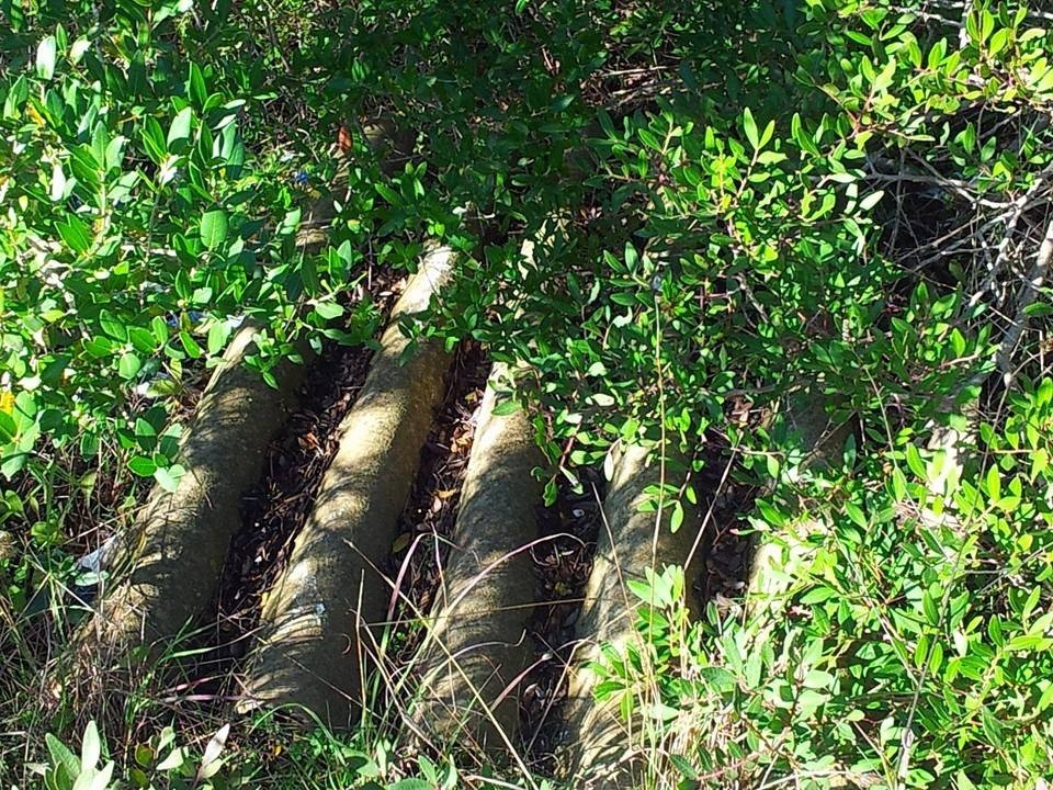 Area protetta o discarica?