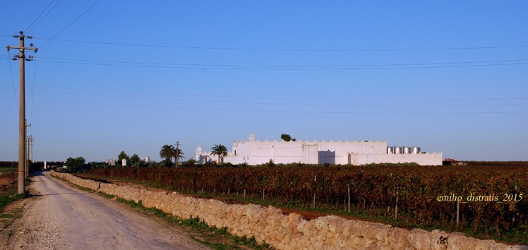 Masseria Surani Piccola