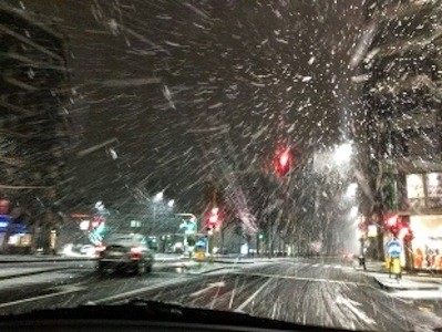 Allerta meteo: vento di burrasca, 