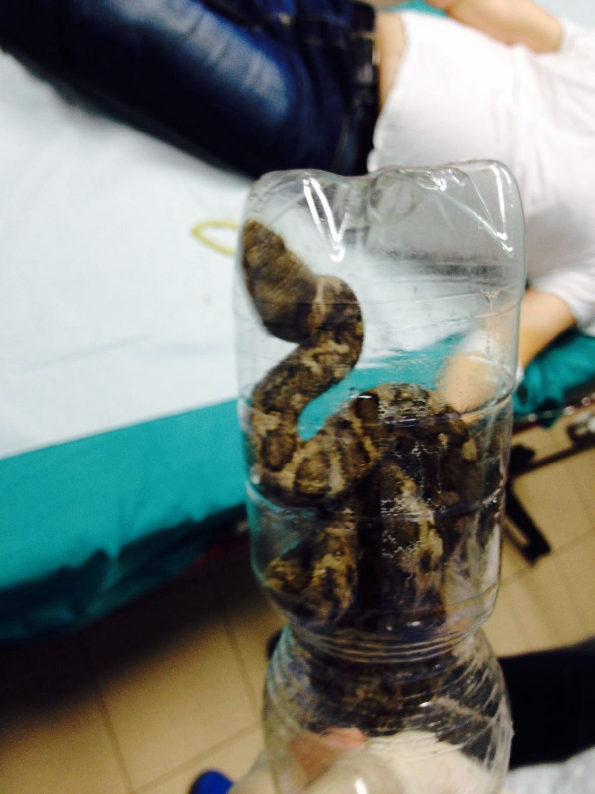 Morso di vipera, il racconto dell'uomo