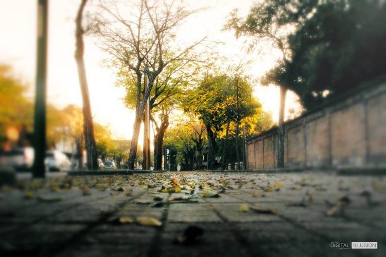 Viale Mancini. Scatto di Paolo Calò Viale Mancini. Scatto di Paolo Calò