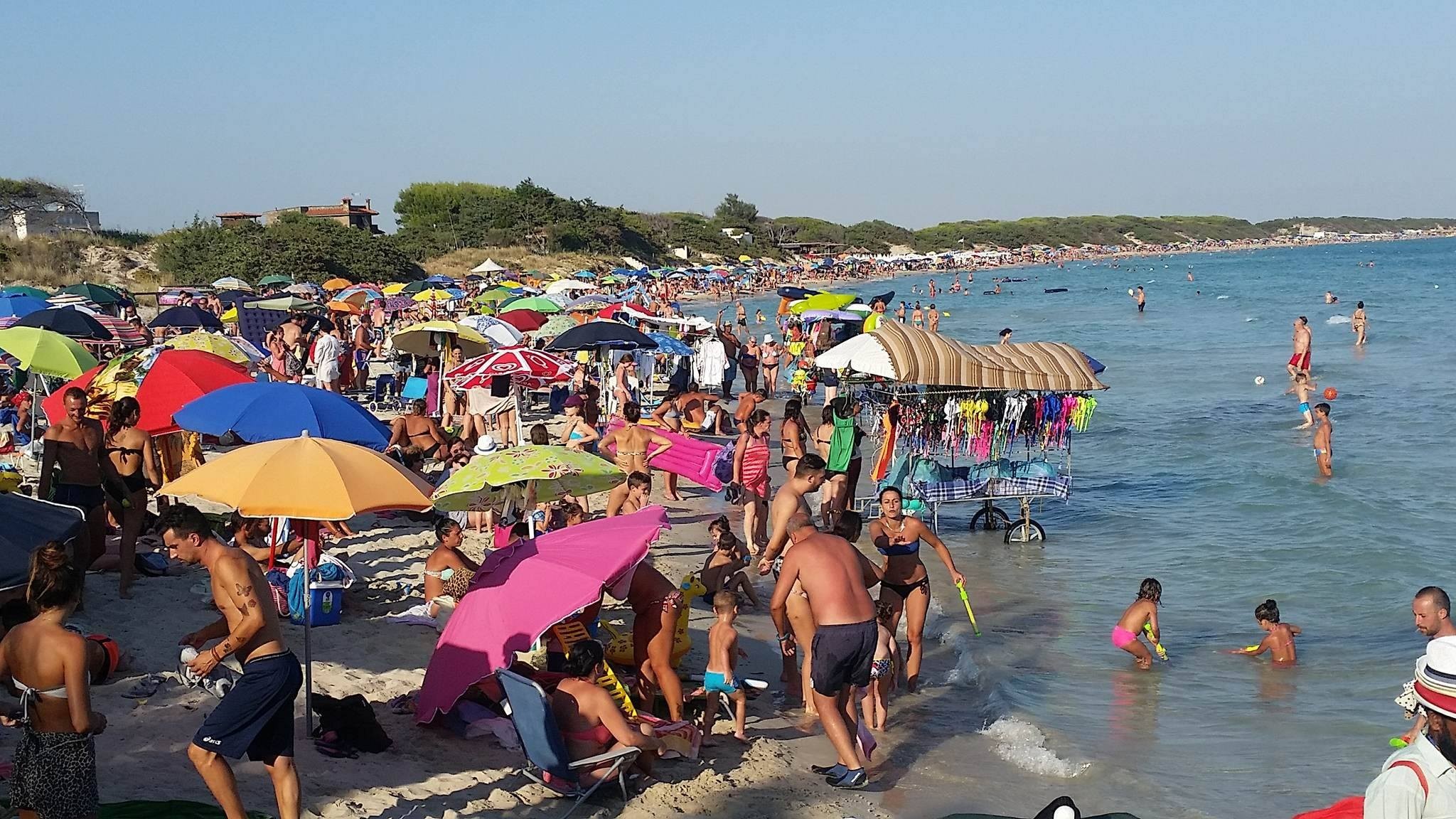 Canali d'acqua, canneti e spiagge: i�tesori nascosti del bacino del Conte