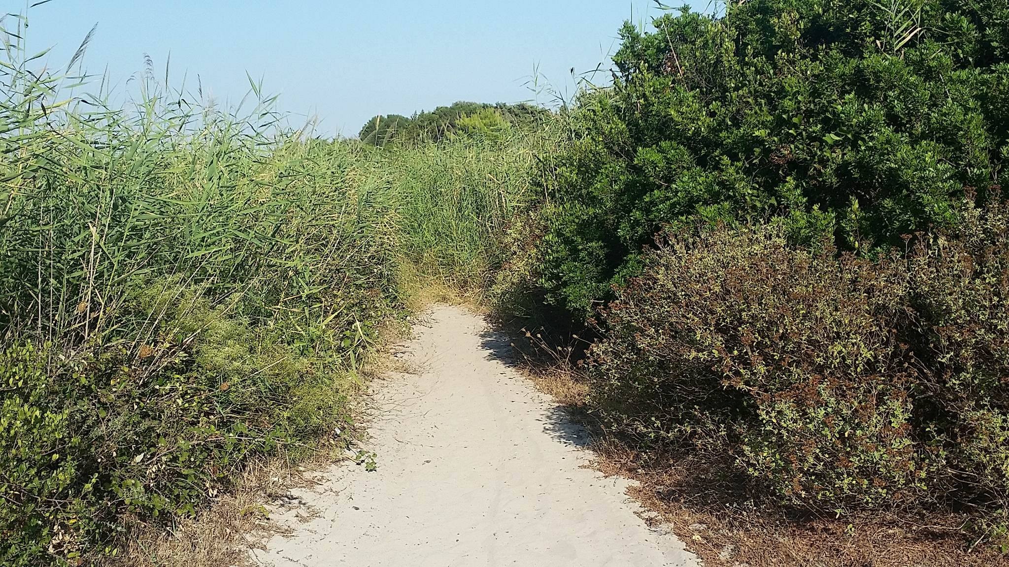 Canali d'acqua, canneti e spiagge: i�tesori nascosti del bacino del Conte
