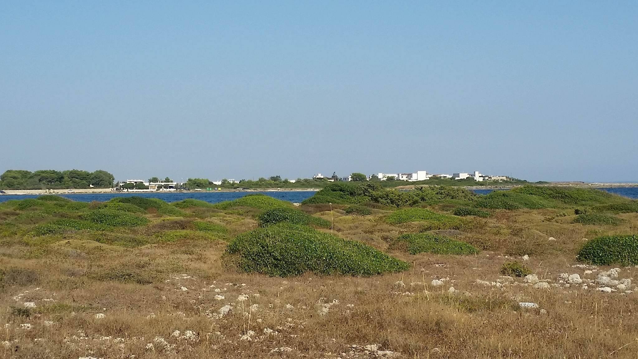Canali d'acqua, canneti e spiagge: i�tesori nascosti del bacino del Conte