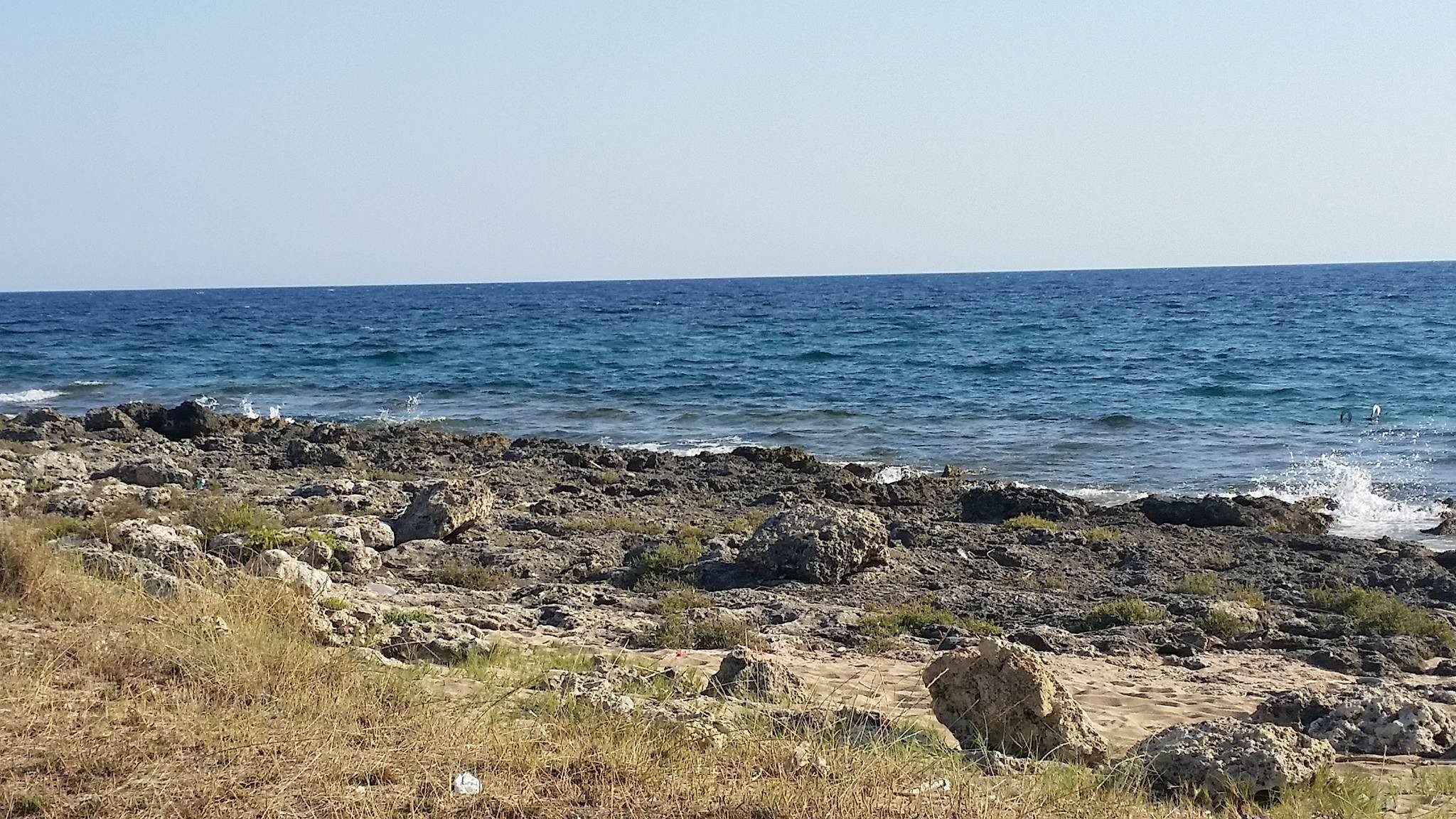 Canali d'acqua, canneti e spiagge: i�tesori nascosti del bacino del Conte