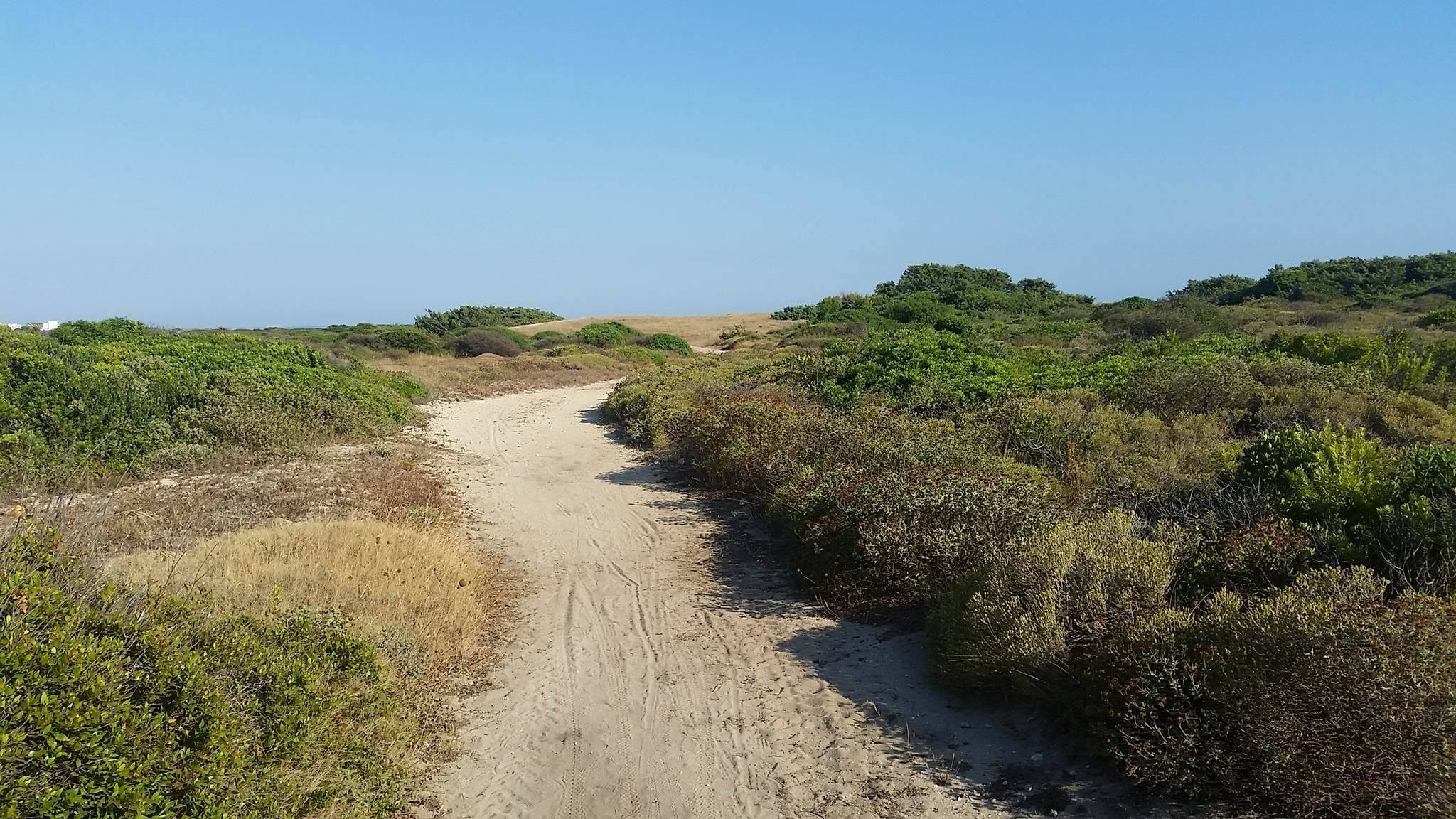 Canali d'acqua, canneti e spiagge: i�tesori nascosti del bacino del Conte