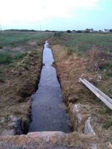 Canale Arneo Canale Arneo