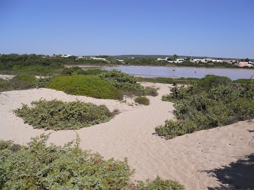 Canali d'acqua, canneti e spiagge: i�tesori nascosti del bacino del Conte