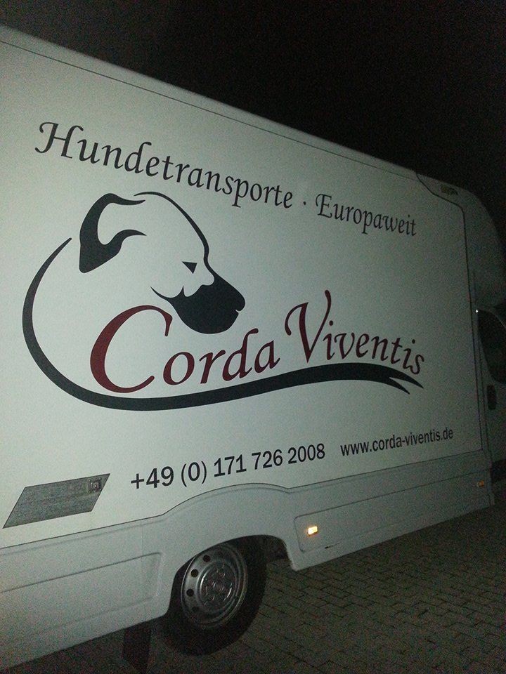 A Manduria il taxi per cani diretti in Germania