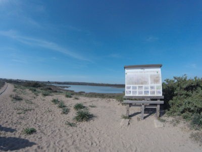 Spiagge Spiagge