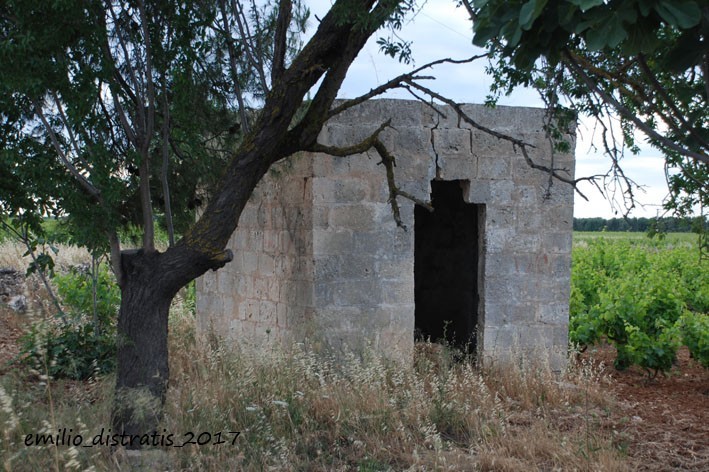 Brunetti in contrada Masseria Vento